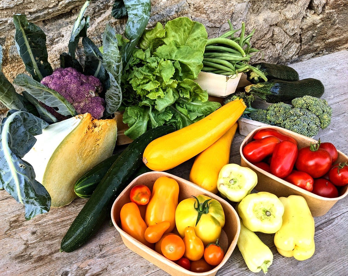 Im Spätsommer kommen auch Leckereien wie Kürbis, Karfiol, Brokkoli und Fisolen dazu.